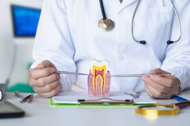 Best Emergency Denture Repair in Archer City, TX